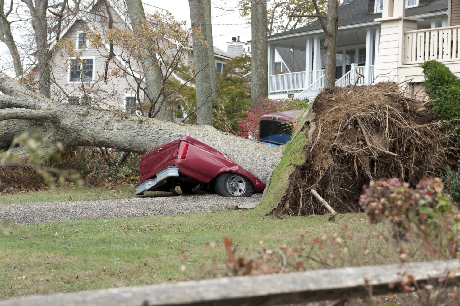 A fallen tree on a truck in a homeowner’s driveway during a hurricane.